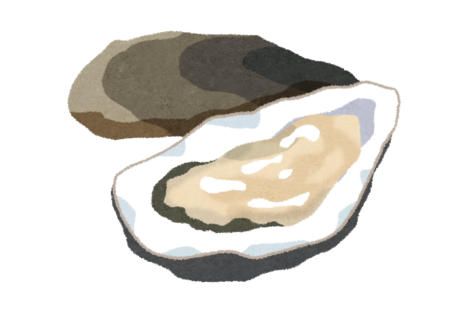 生牡蠣のイラスト