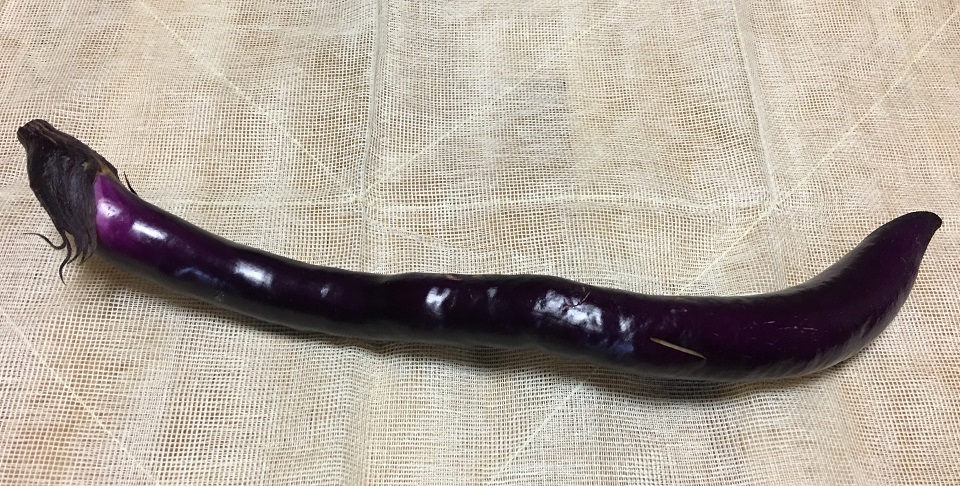 ひもナス「紫剣」の写真