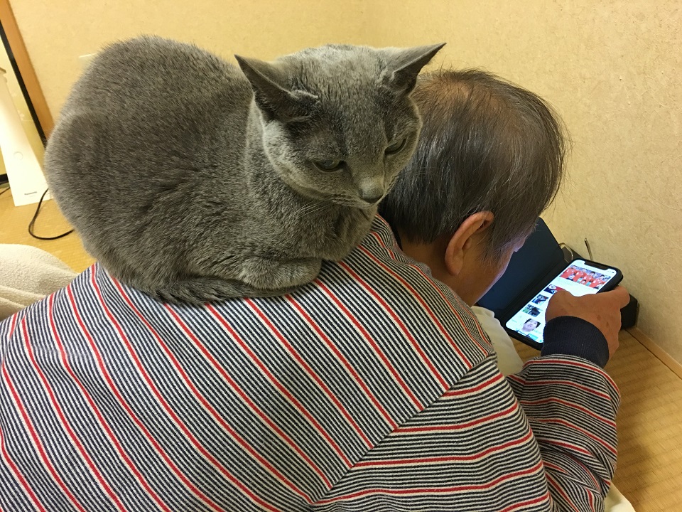 猫が夫の背に乗っている写真