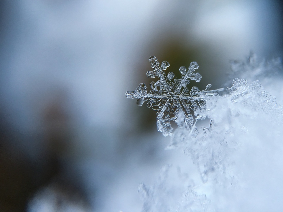 雪の結晶の写真